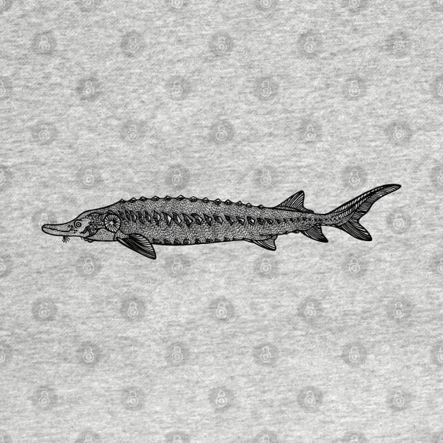 Common Sturgeon fish drawing on light colors by Green Paladin